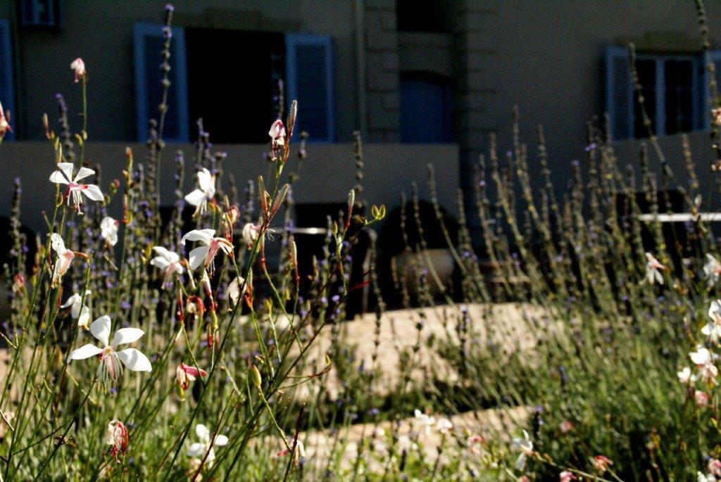La Cabriere Country House Franschhoek Ngoại thất bức ảnh